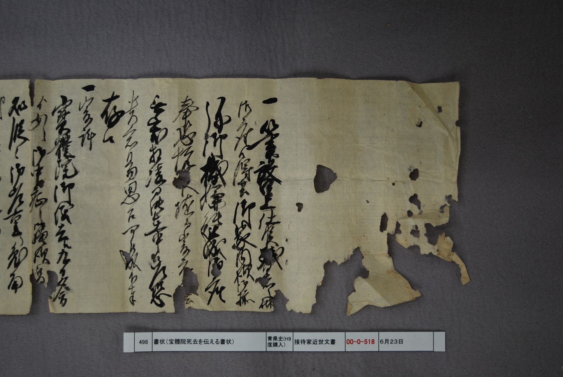 書状（宝體院死去に付）