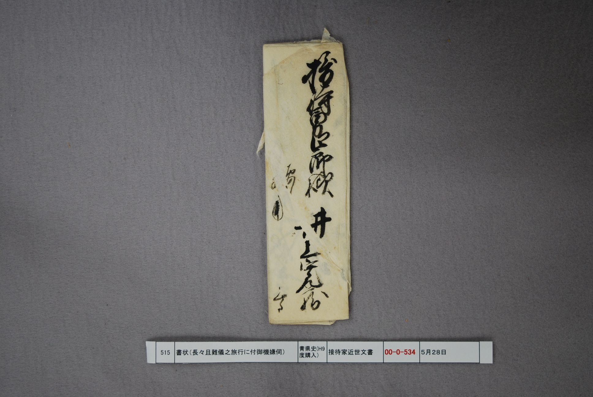 書状（長々且難儀之旅行に付御機嫌伺）