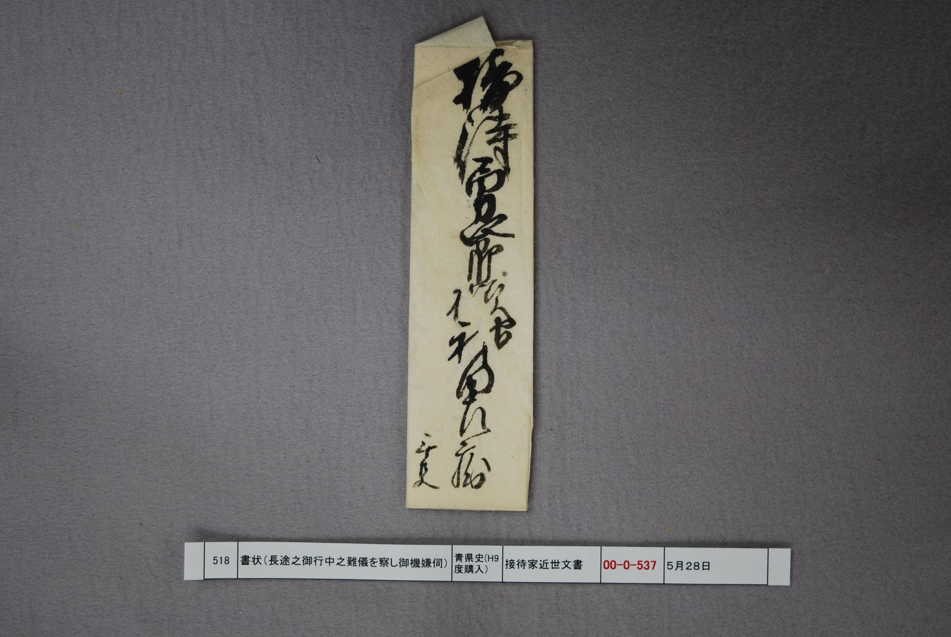 書状（長途之御行中之難儀を察し御機嫌伺）