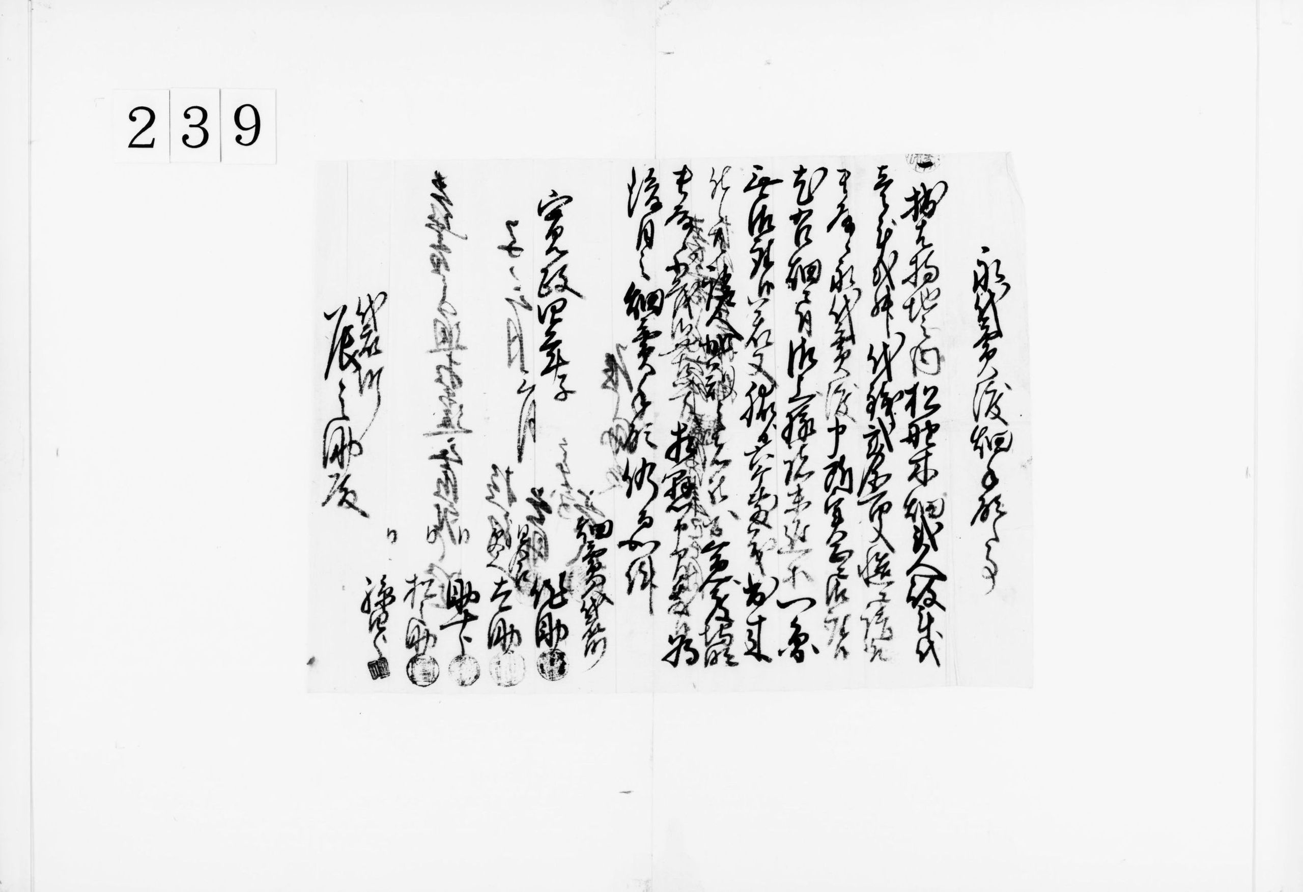 永代売渡畑手形之事