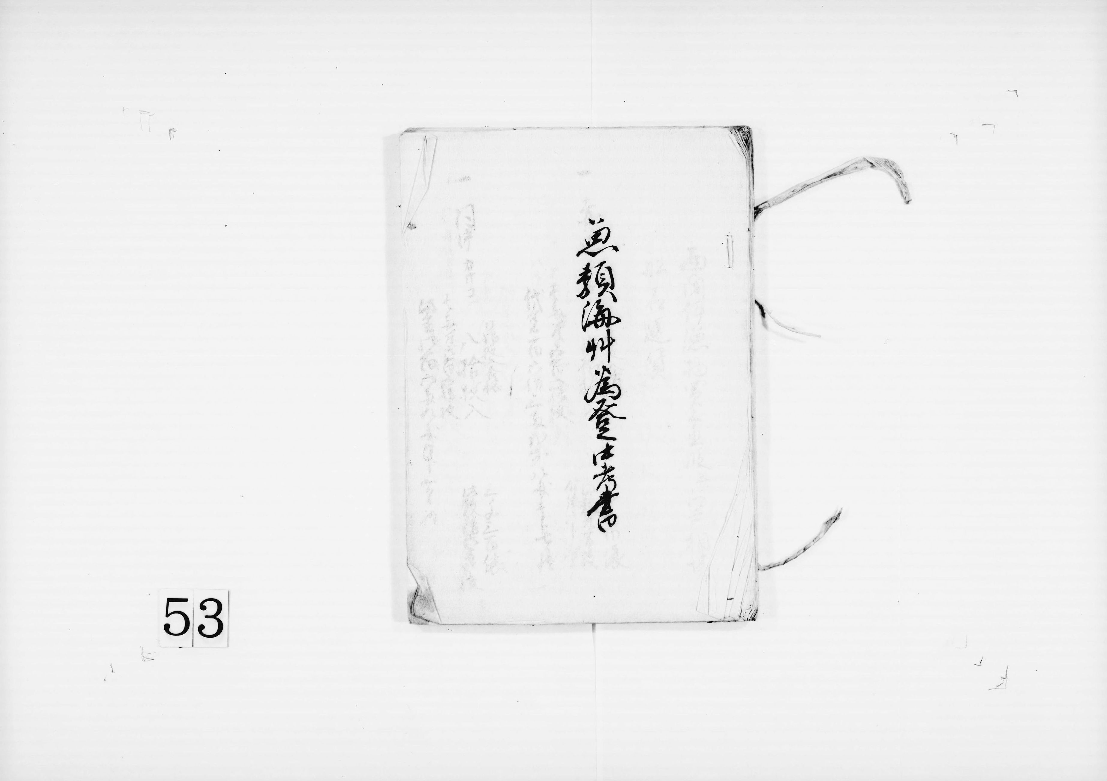 魚類海草為登中考書