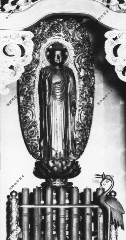 Mokuzouamidanyorairyuuzou