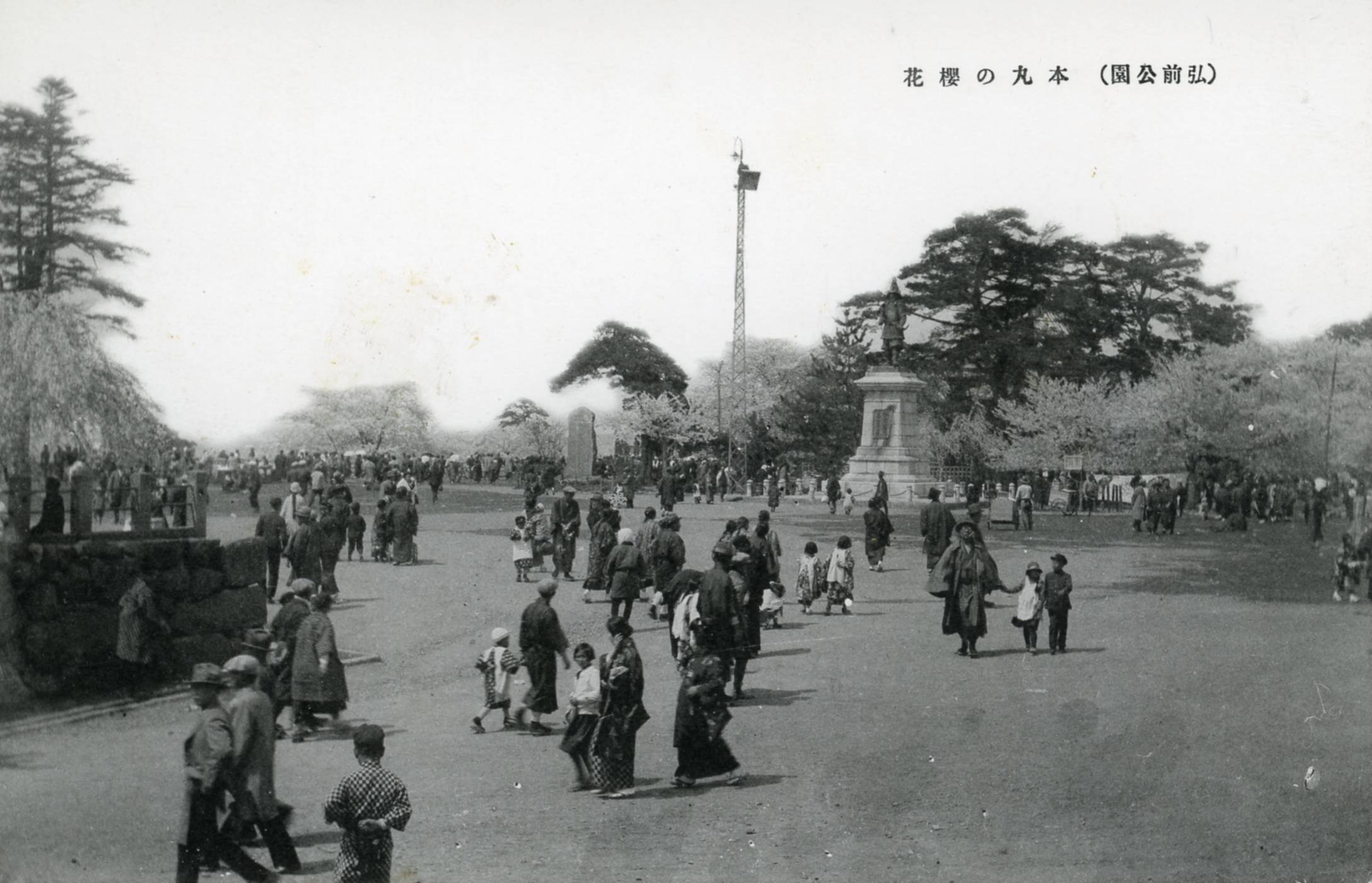 絵ハガキ(日本一桜の名所 弘前公園古城と桜花)