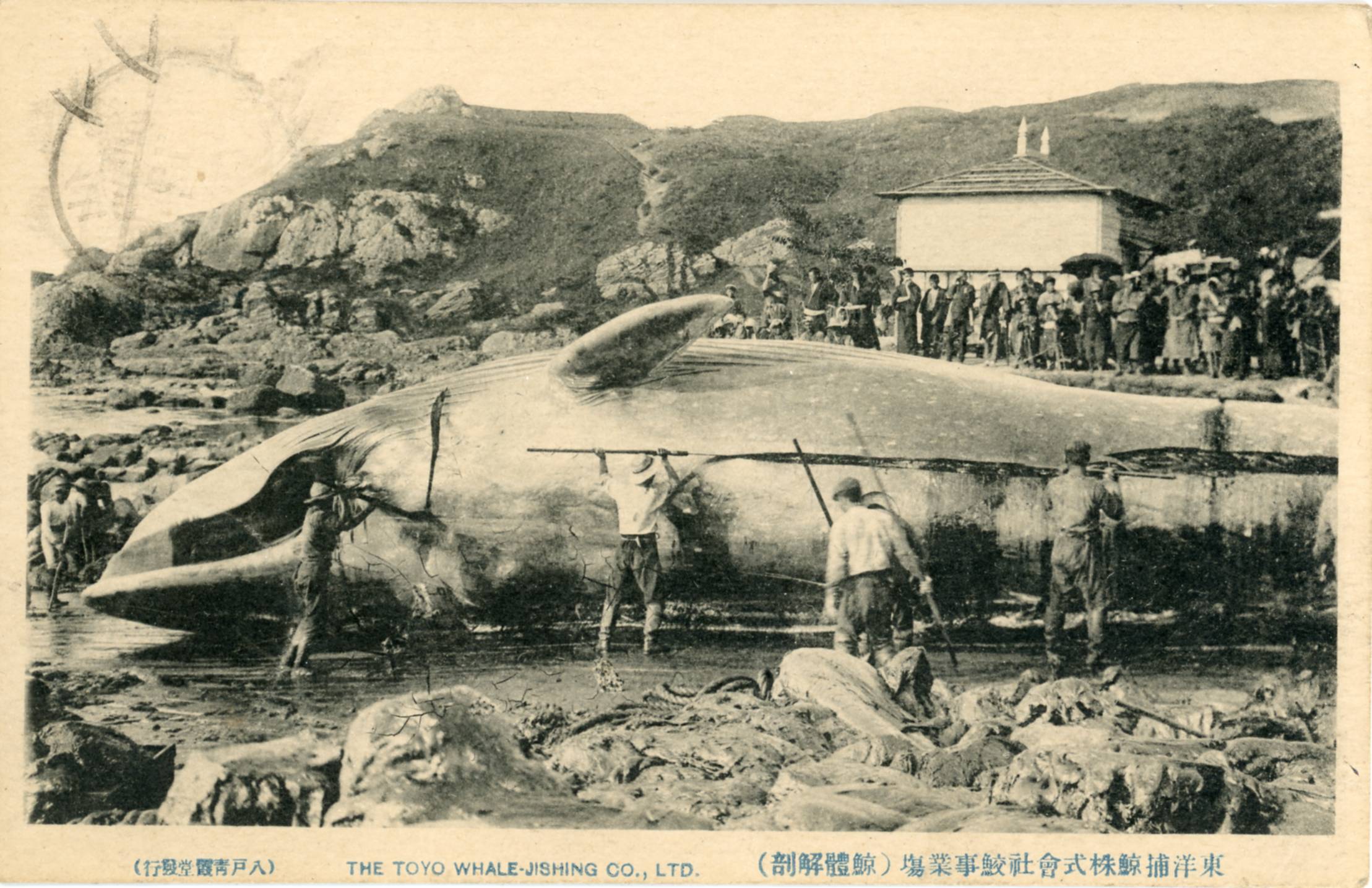 絵ハガキ(八戸)