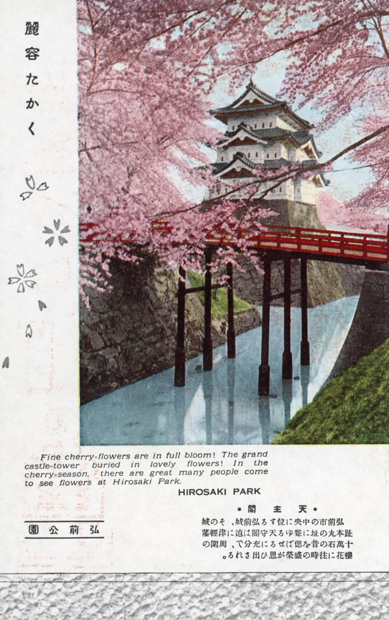 絵ハガキ(国宝弘前城と桜花)