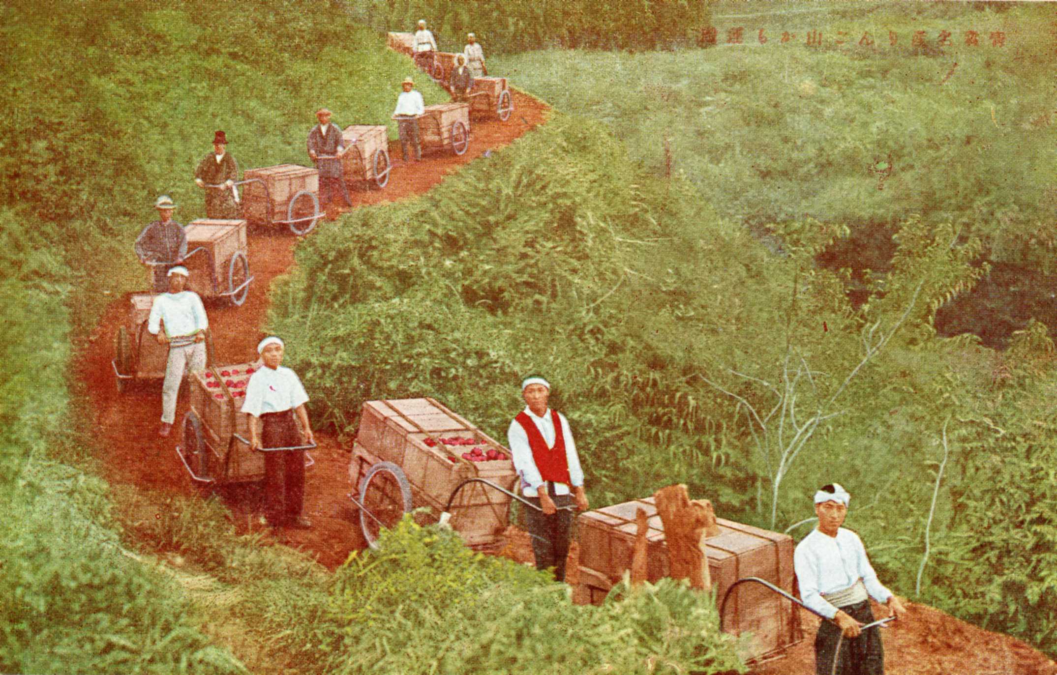 絵ハガキ(青森名産りんご絵はがき)