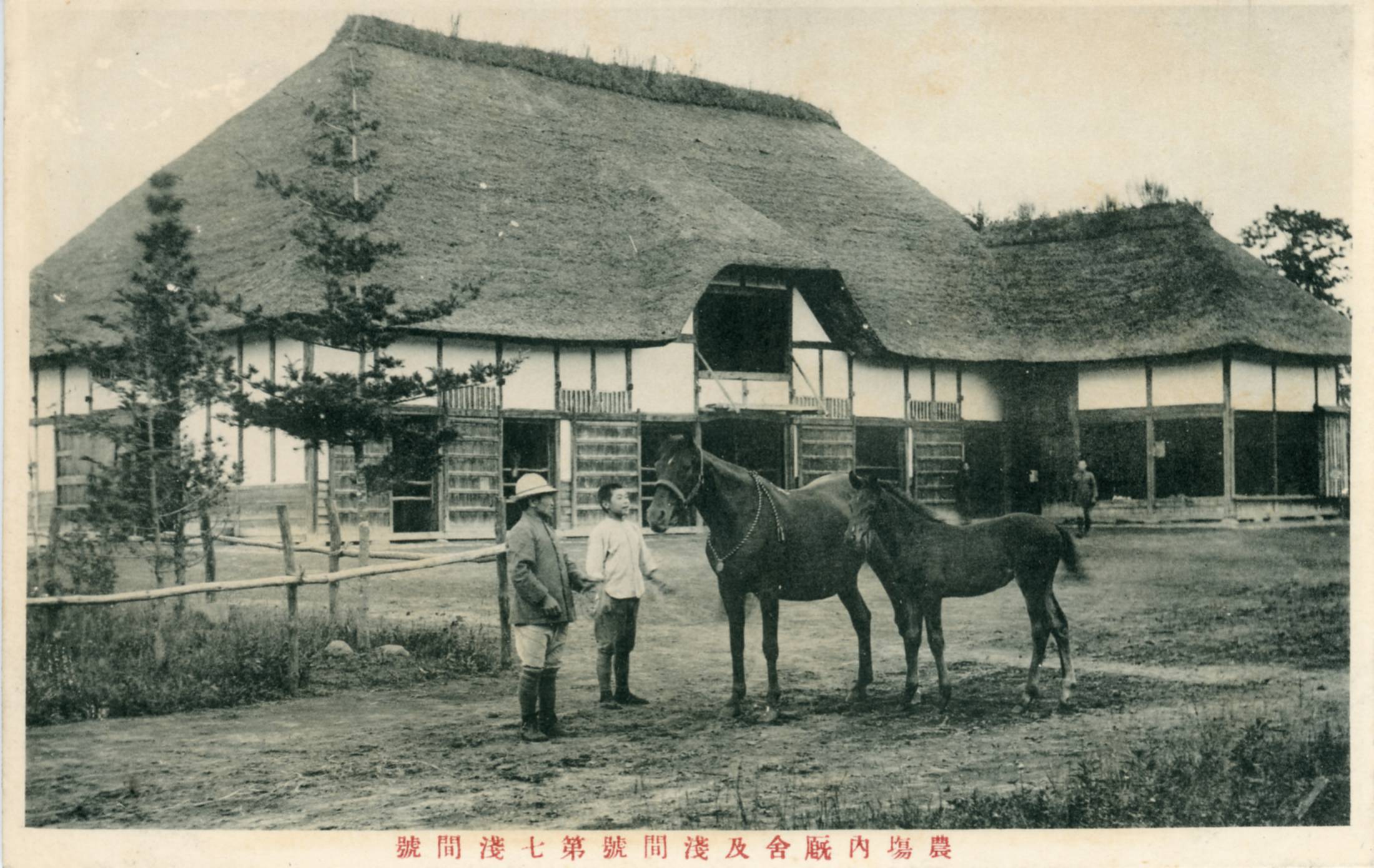 絵ハガキ(七戸)