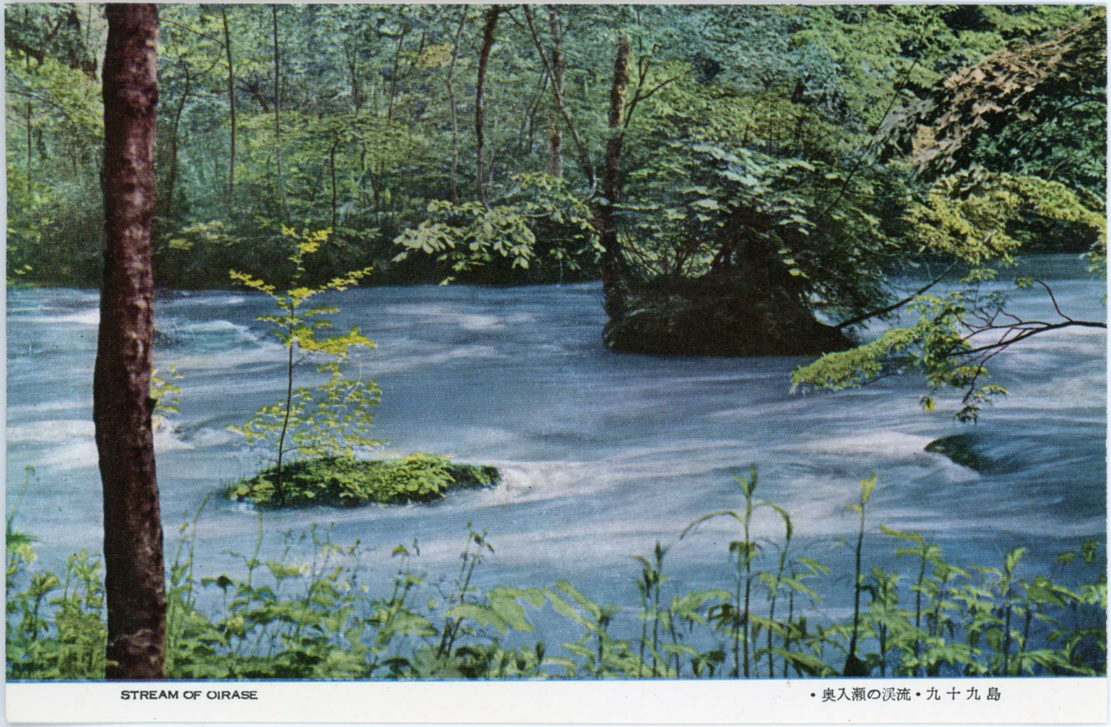 絵ハガキ(奥入瀬)