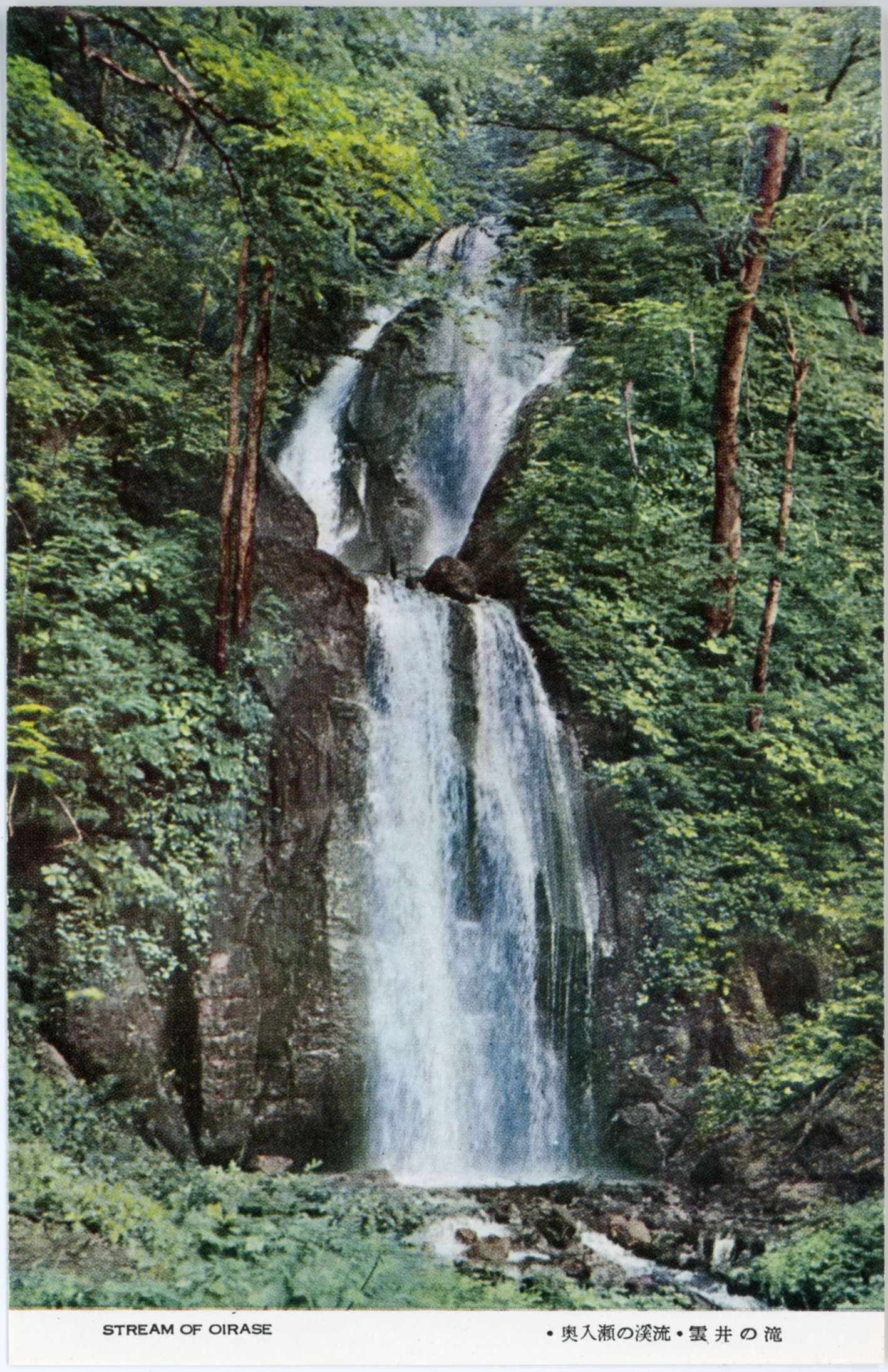 絵ハガキ(奥入瀬)