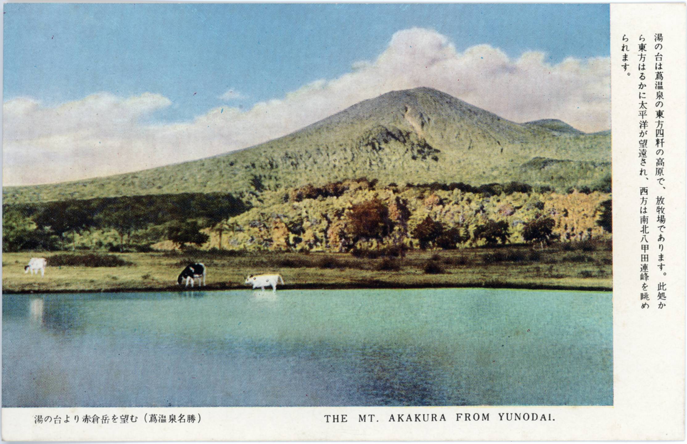 絵ハガキ(十和田国立公園蔦温泉八甲田山中)