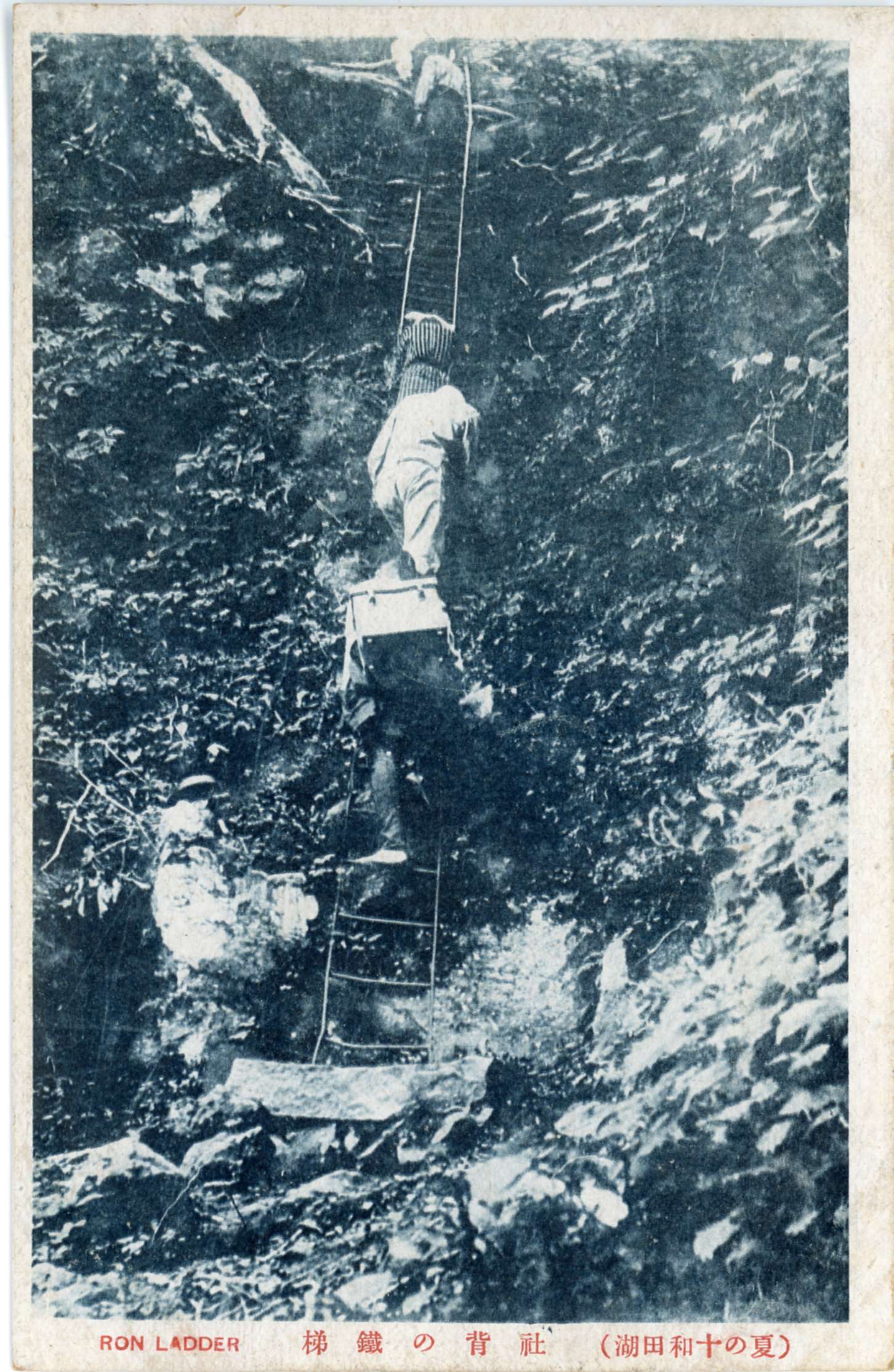 絵ハガキ(夏の十和田湖)