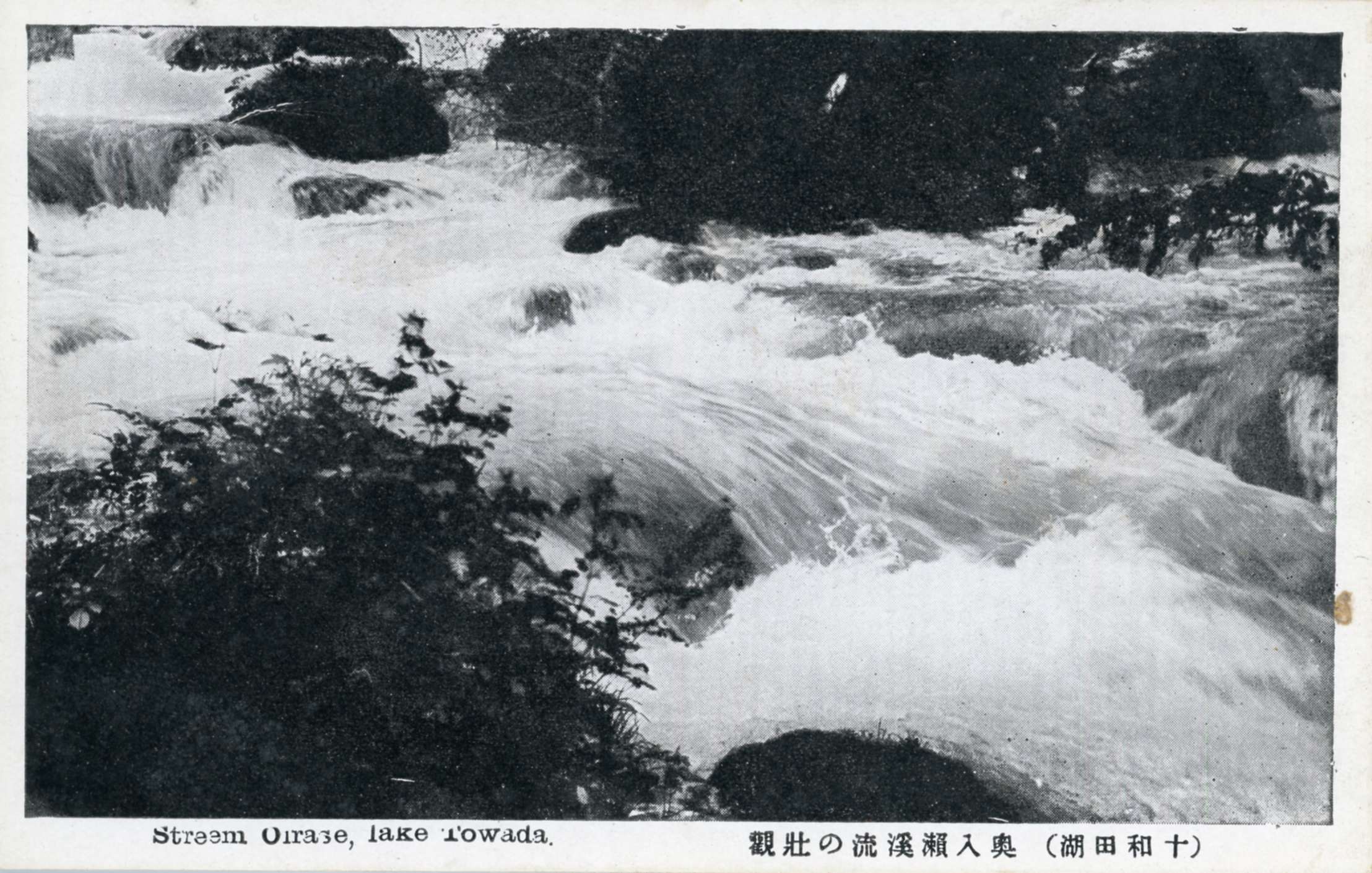 絵ハガキ(十和田湖)