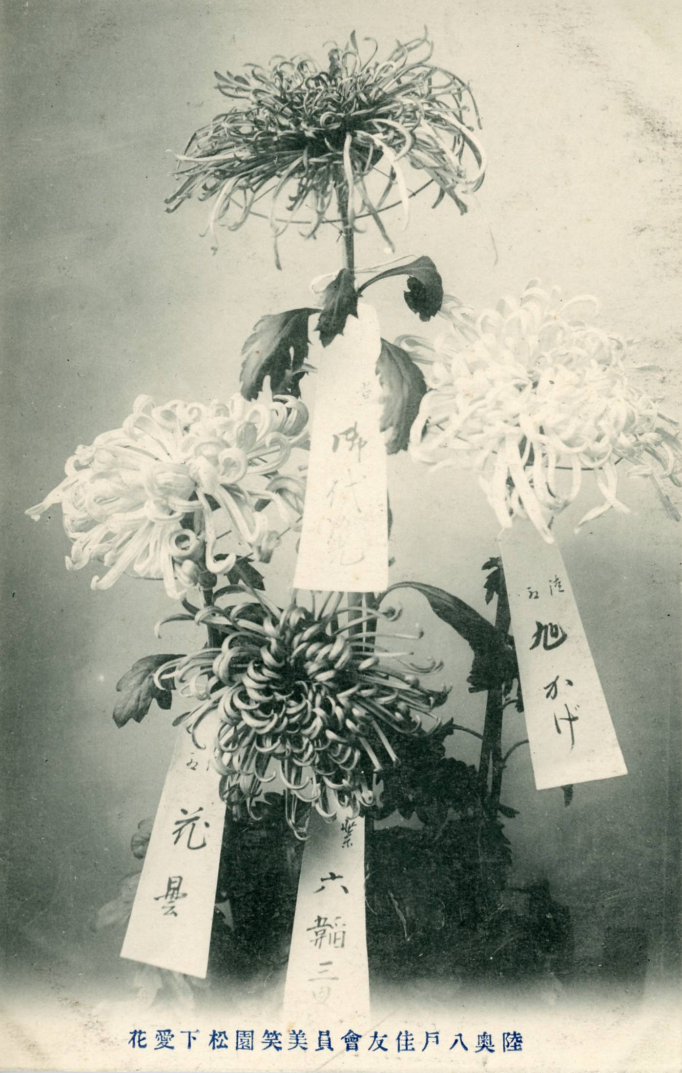 絵ハガキ(絵端書帖)