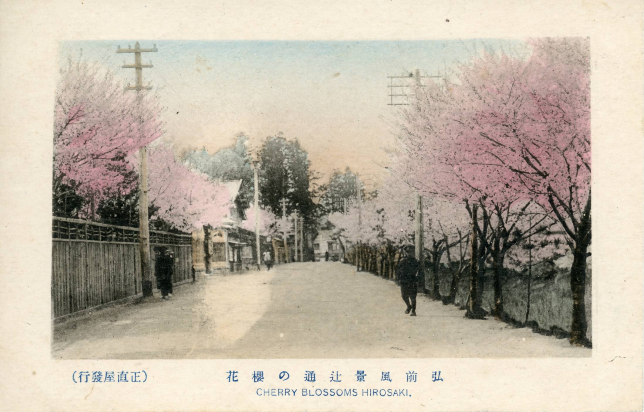 絵ハガキ(アルバム)