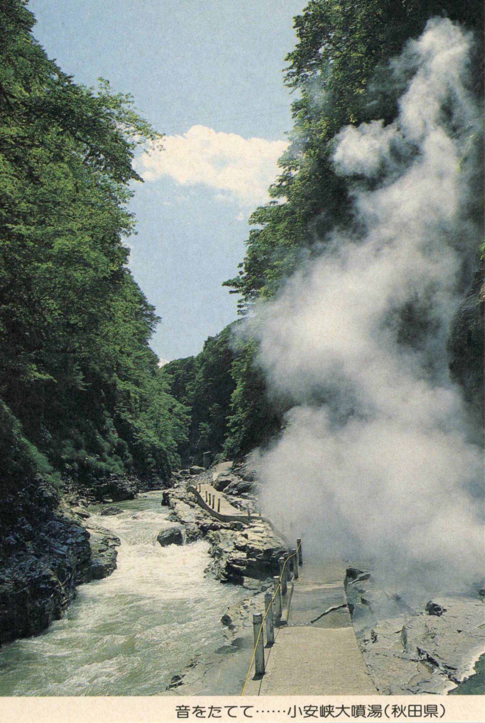 絵ハガキ(絵入りはがき)