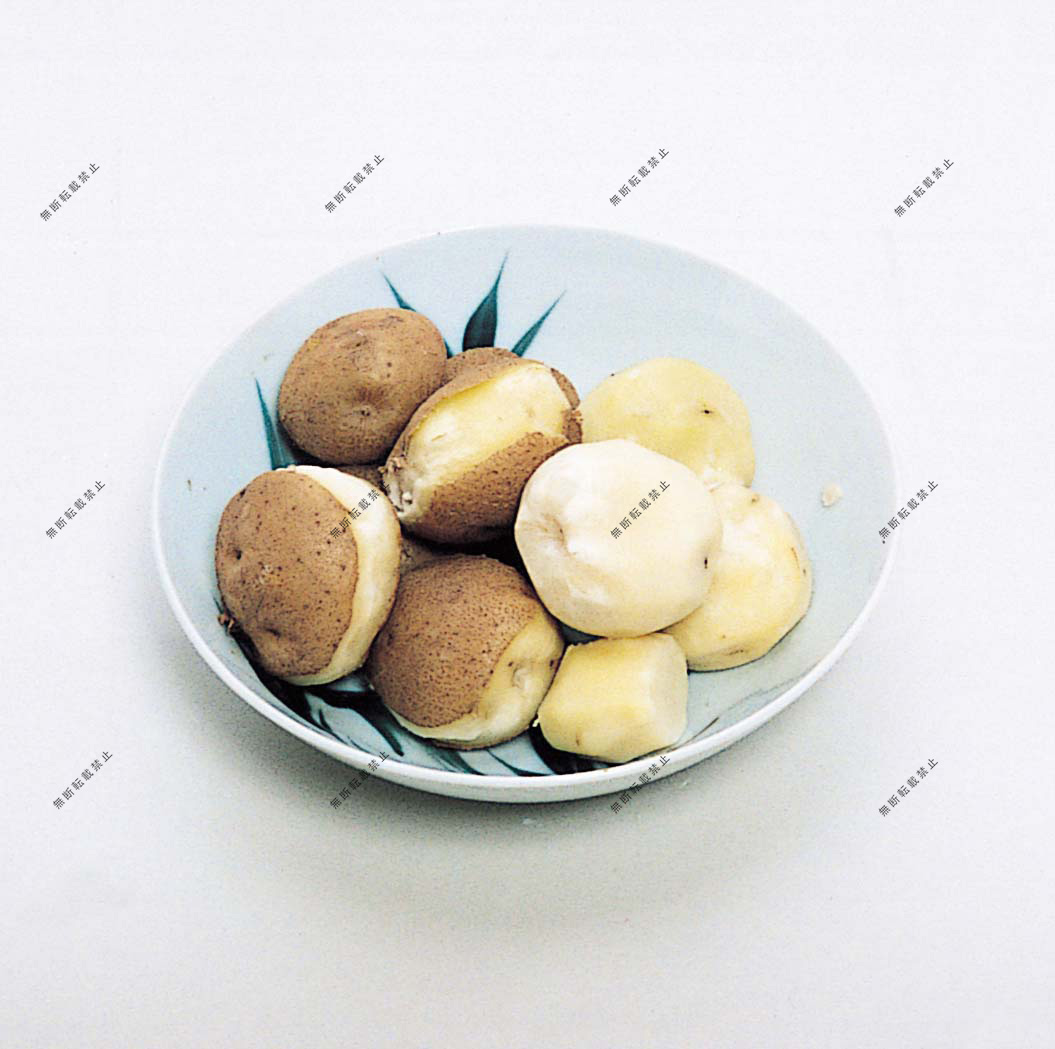 民俗編資料南部Ⅰ部3章 写真54