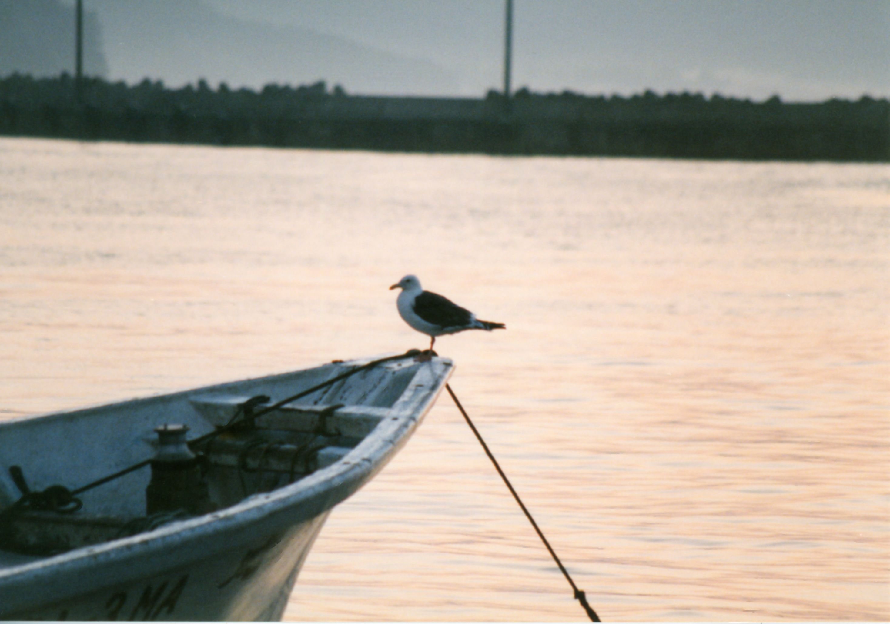 青森県の鉄路と風景