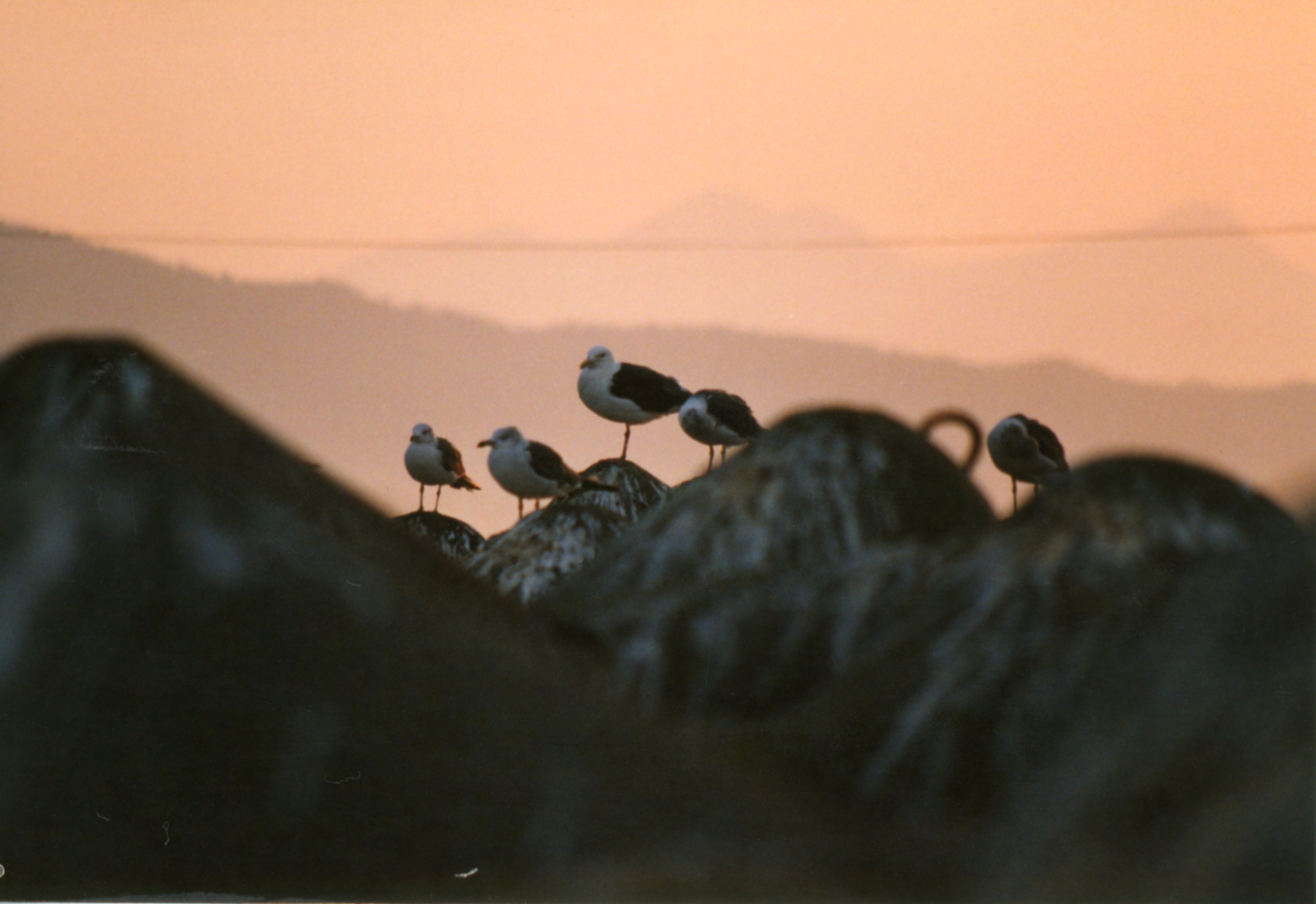 青森県の鉄路と風景