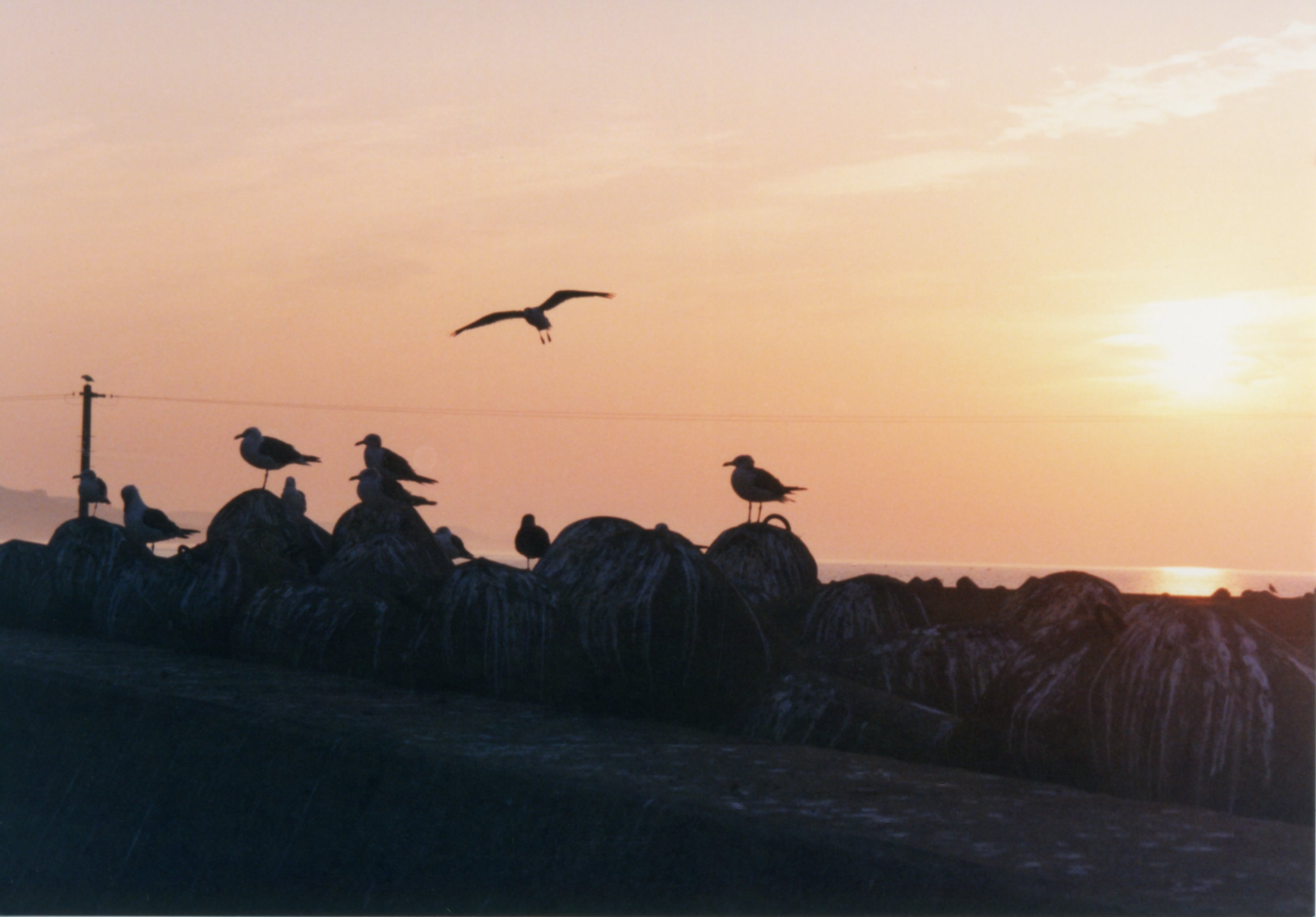 青森県の鉄路と風景