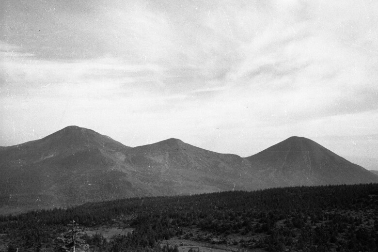 南八甲田登山道